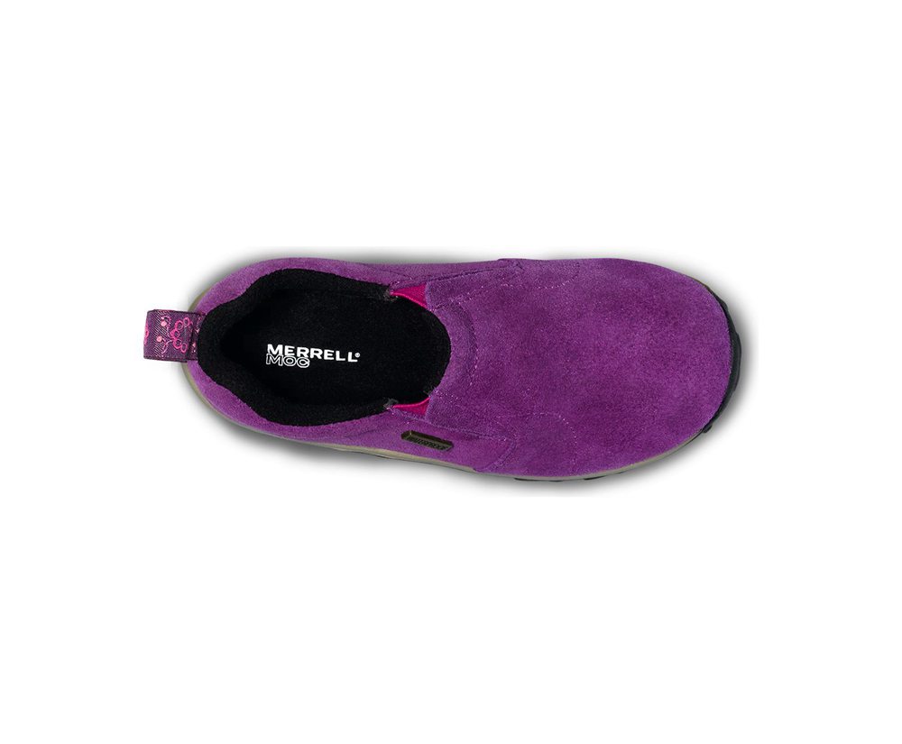 Merrell Slip Ons Purple - Jungle Moc Frosty Waterproof - Kids 92GHJTXRF